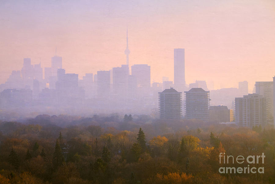 Toronto Autumn Fog 2013 Photograph by Charline Xia