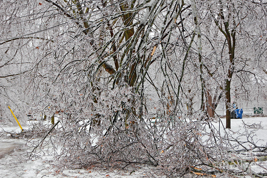 Toronto Ice Damages Photograph by Charline Xia