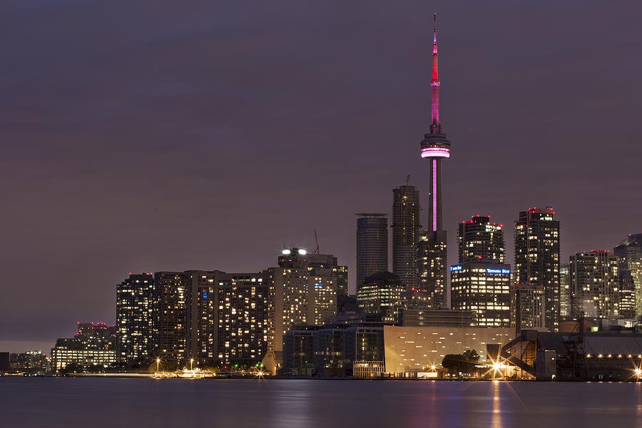Toronto Skyline Purple   Photograph by John McGraw