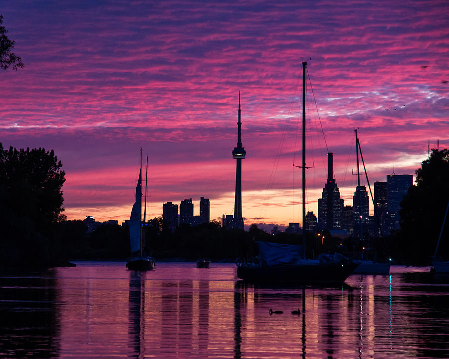 Toronto Skyline - The Boats Are Coming In Photograph