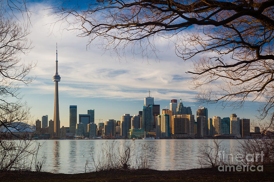 America Photograph - Toronto Through the Trees by Inge Johnsson America Photograph - Toronto Through the Trees by Inge Johnsson