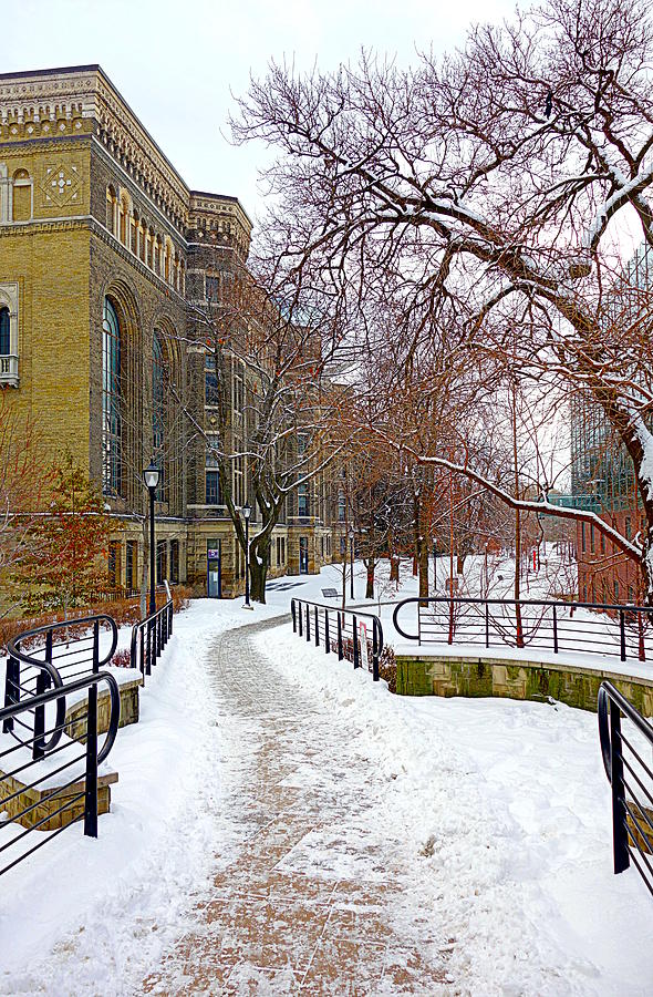 Toronto Winter Park Photograph by Valentino Visentini