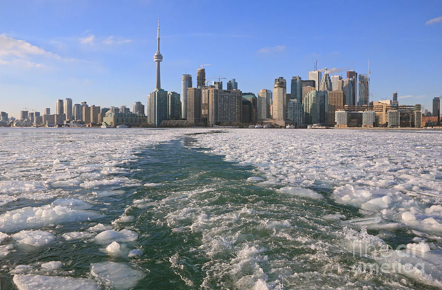 Toronto Winter Skyline Photograph by Charline Xia