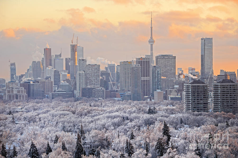 Winter Photograph - Toronto Winter Sunset 2013 by Charline Xia