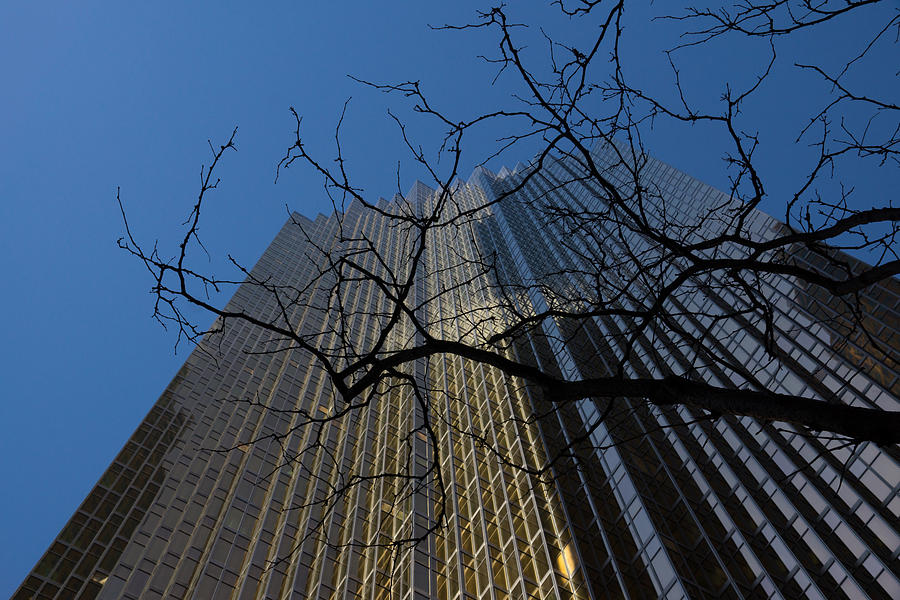 Architecture Photograph - Torontos Golden Bank - Royal Bank Plaza Downtown by Georgia Mizuleva