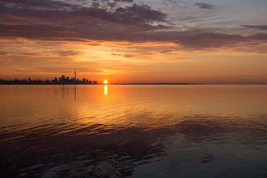Torontos Skyline at Sunrise Photograph by Georgia Mizuleva