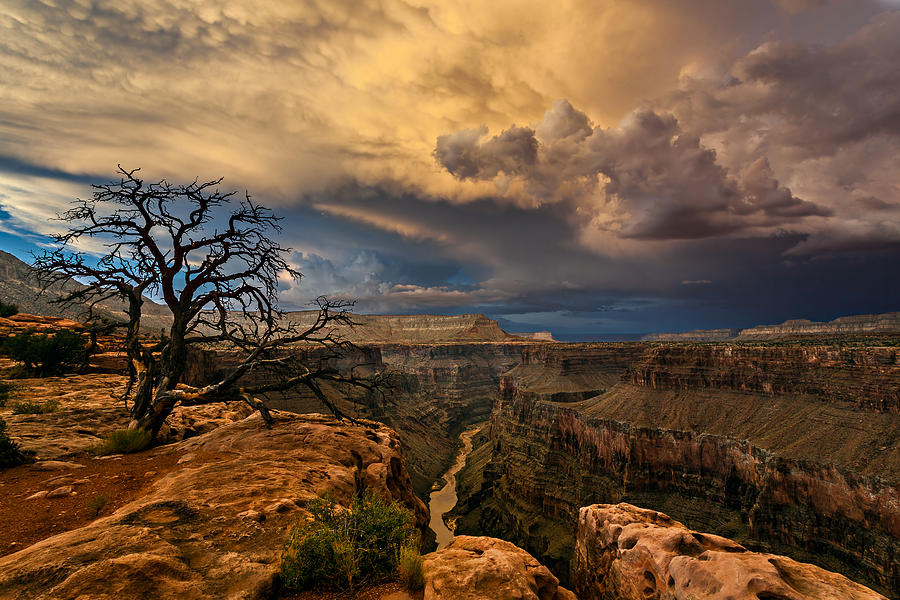 Grand Canyon National Park Photograph - Toroweap Storm by Guy Schmickle