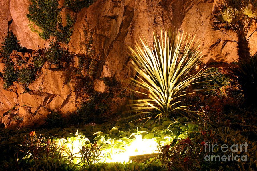 Torquay Illuminated Gardens landscape Photograph by Terri Waters