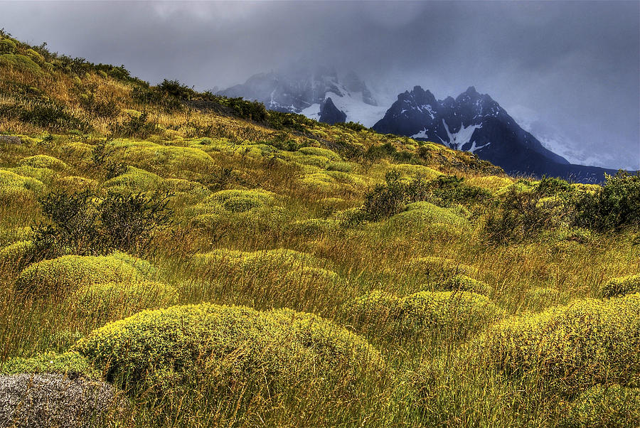Torres del Paine National Park Photograph by Thad Roan