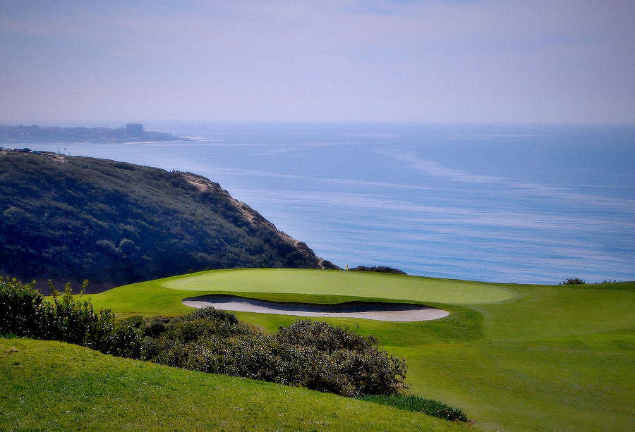 Tiger Woods Photograph - Torrey Pines South No. 3 by See My  Photos