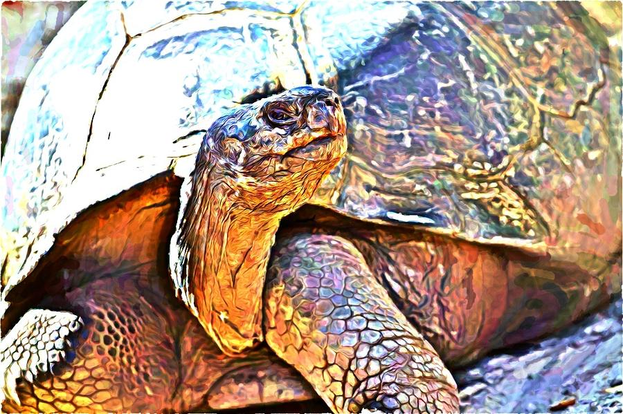 Tortoise Gouache Photograph by Alice Gipson