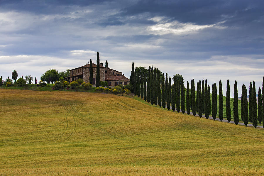 Summer Photograph - Toscana by Mircea Costina Photography