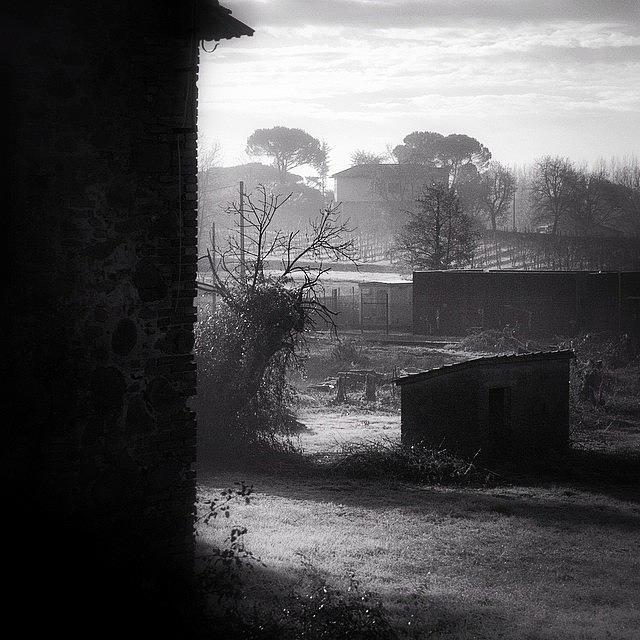 Nature Photograph - #toscana #morning #fog #blackandwhite by Mariana Mincu