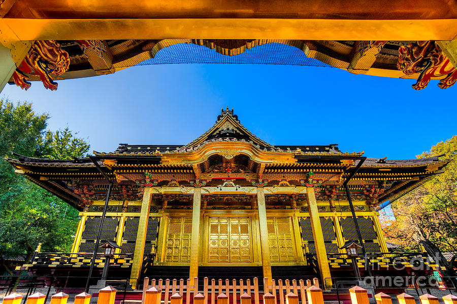 Tosho-Gu shrine - Tokyo - Japan Photograph by Luciano Mortula