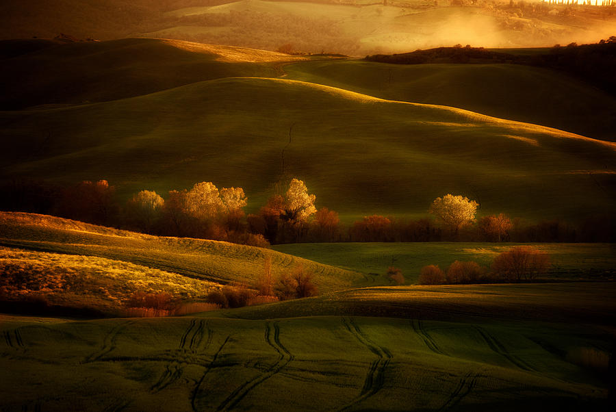 Golden fields of val dOrcia Photograph by Jaroslaw Blaminsky