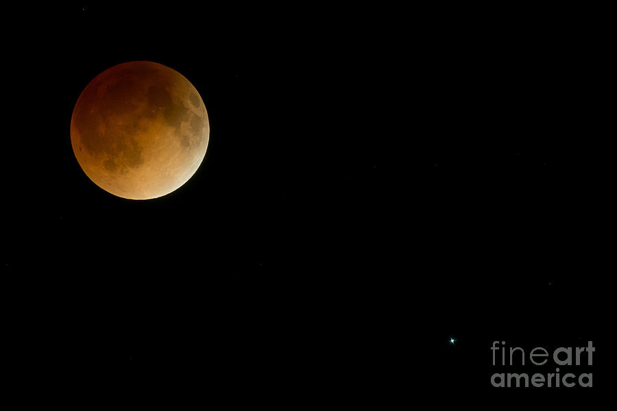 Total Lunar Eclipse Photograph by Joan Wallner