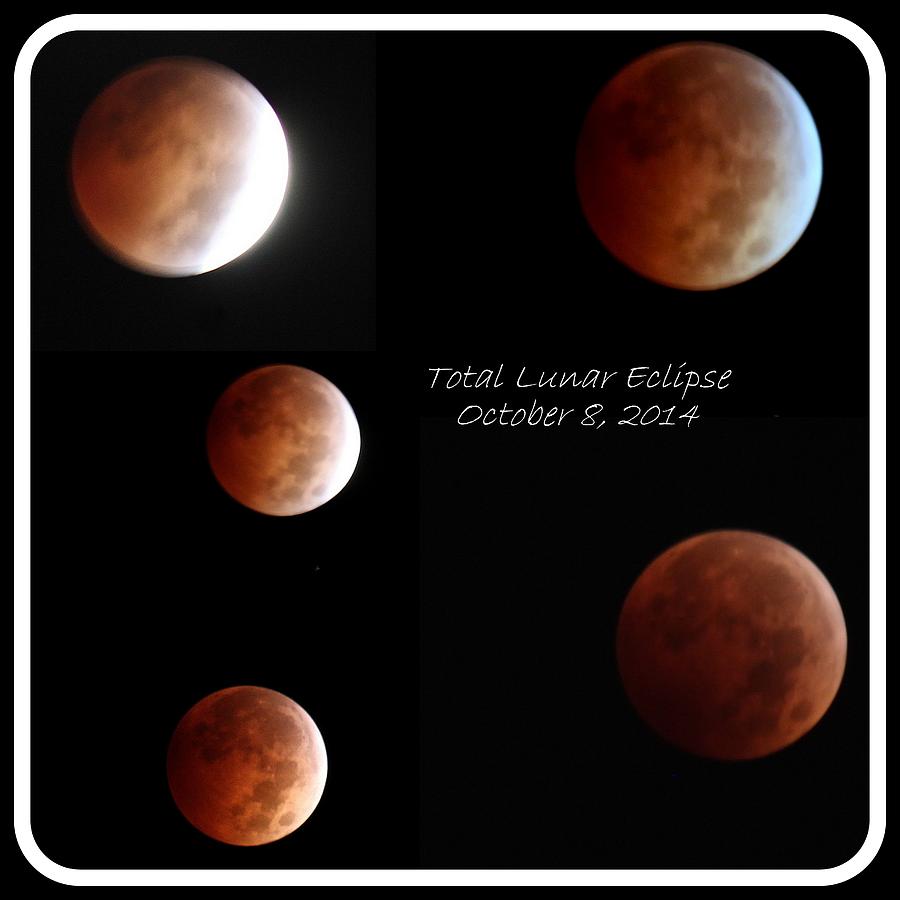 Total Lunar Eclipse Stages Collage with Border Photograph by Rosanne ...