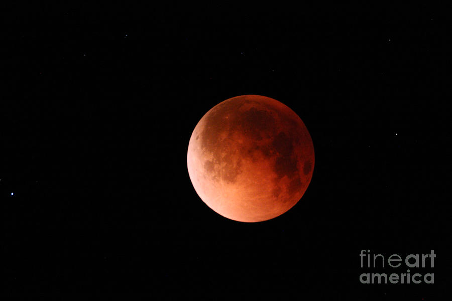 Space Photograph - Total Lunar Eclipse by Stephen & Donna OMeara