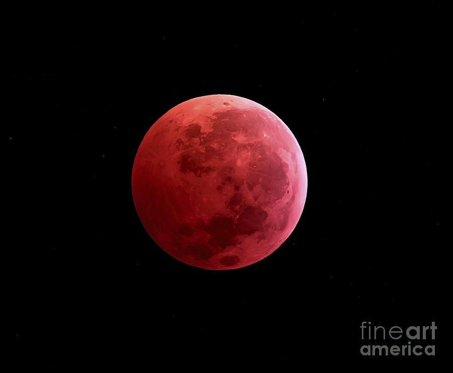 Total Lunar Eclipse Taken On December Photograph by Michael Miller