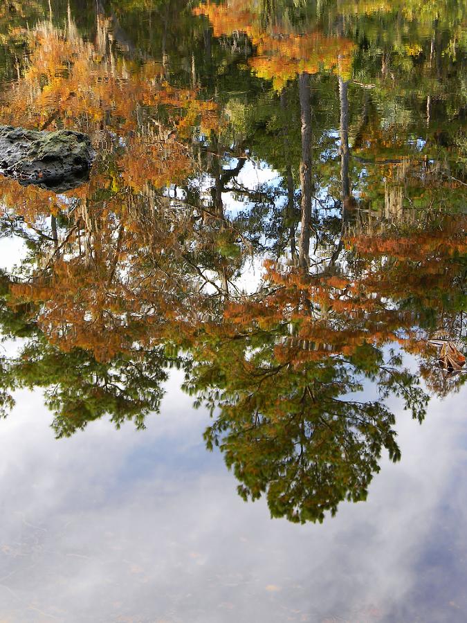 Total Reflection Photograph