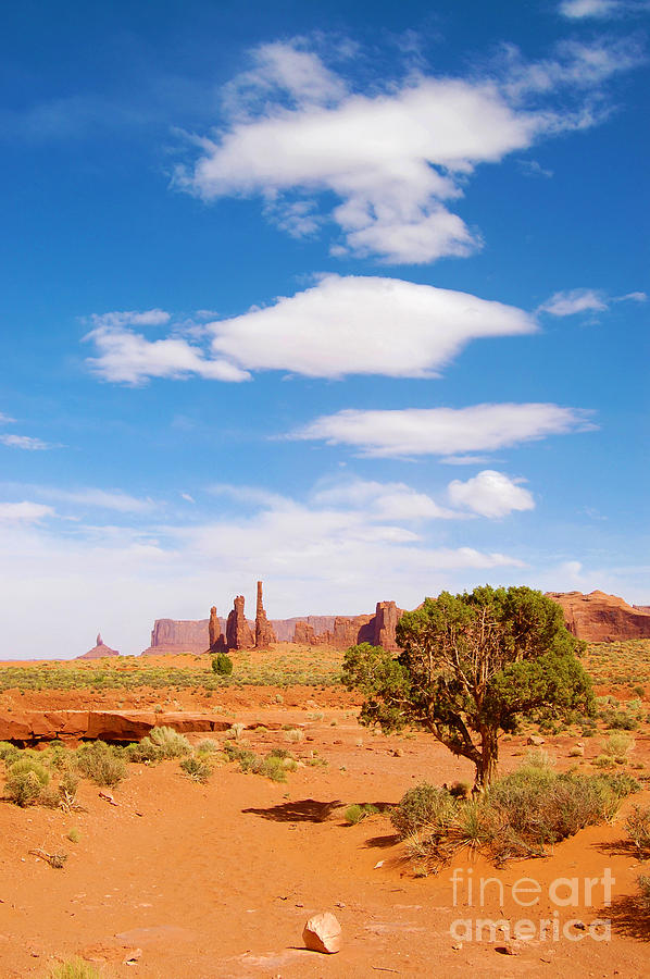 Totem Poles at Monument Valley Photograph by Debra Thompson