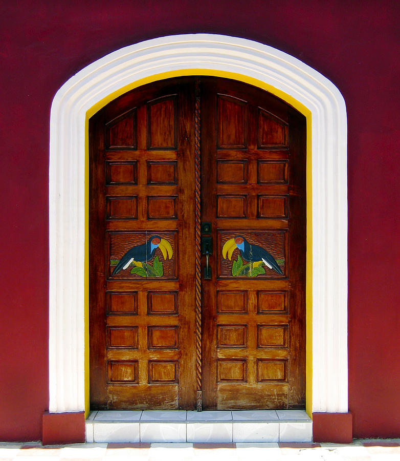 Toucan Door Photograph by Kurt Van Wagner