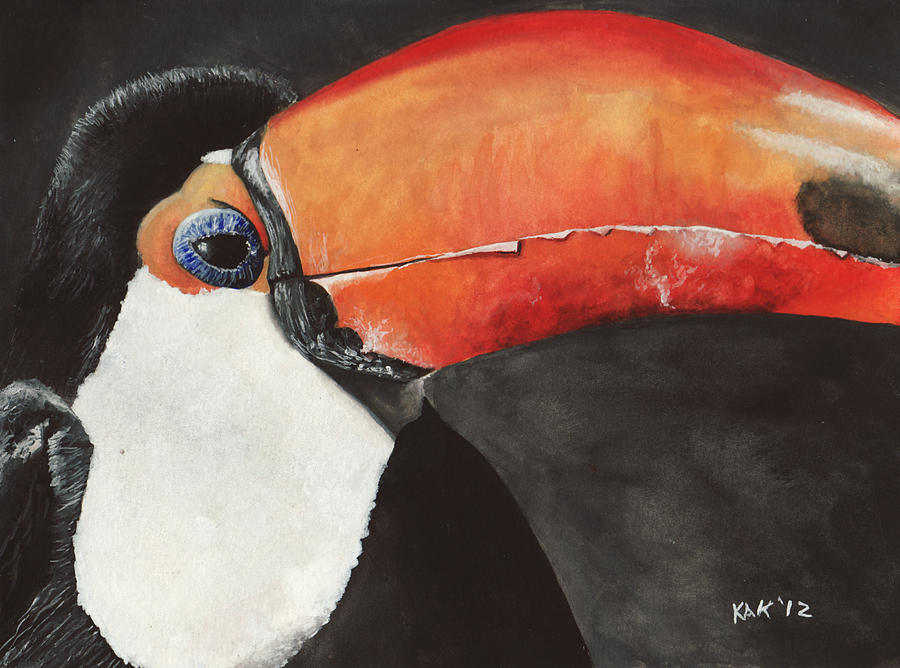 Toucan Painting - Toucan by Katherine Klimitas