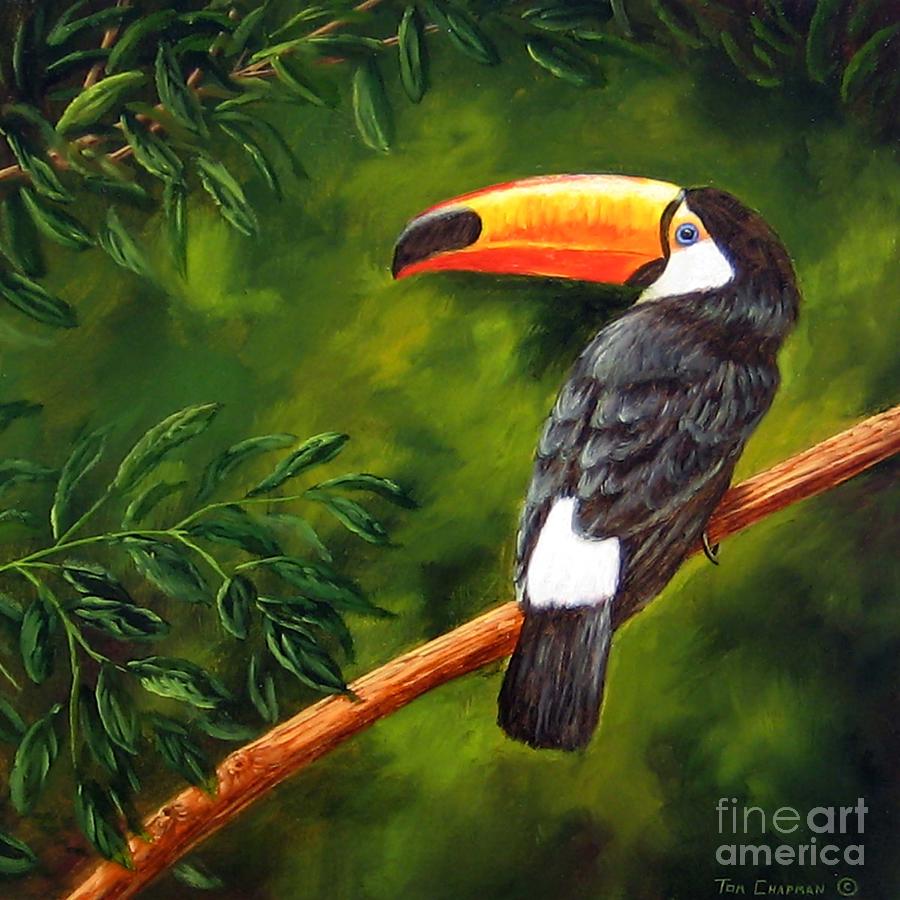 Toucan Painting by Tom Chapman