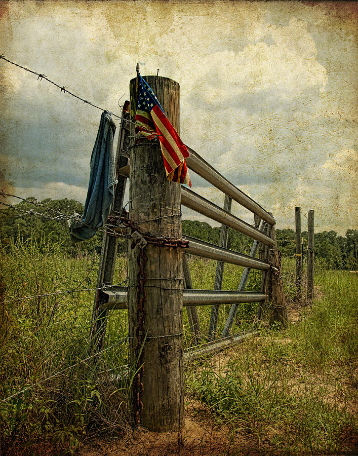 Touch of Americana Photograph by Pete Rems