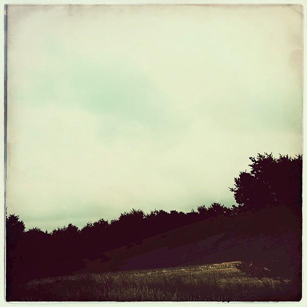 Hipstamatic Photograph - Touch Of Light #hipstamatic by Mary Ann Reilly
