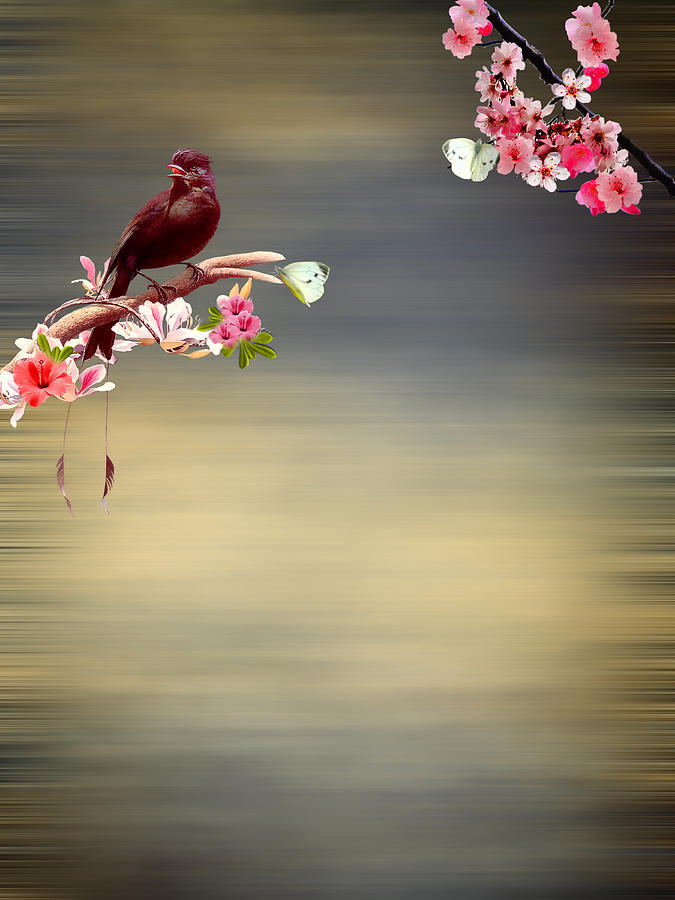 Bird Digital Art - Touch of Paradise by Sharon Lisa Clarke