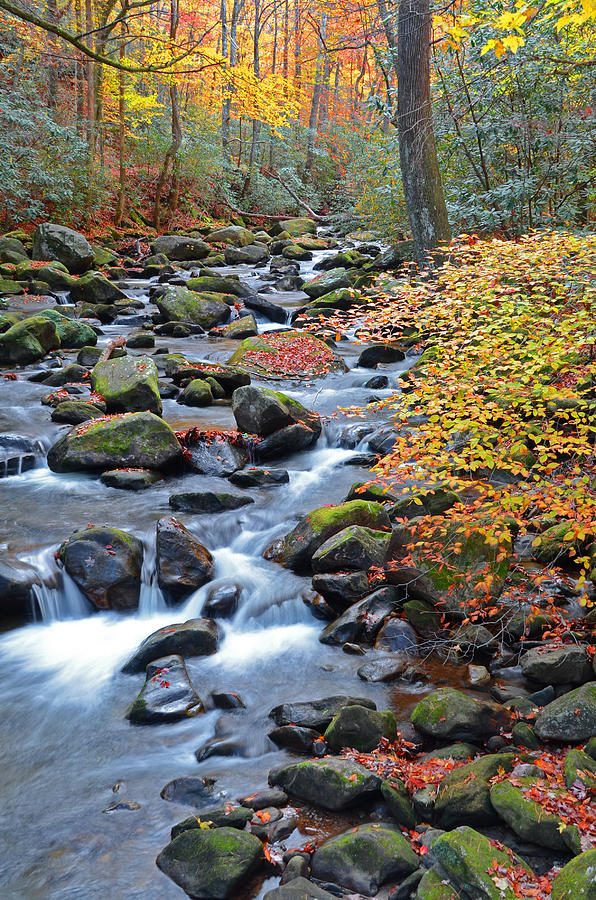 Jones Gap Photograph - Touched by Fall by Mary Anne Baker Jones Gap Photograph - Touched by Fall by Mary Anne Baker