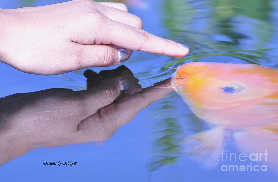 Touching the Koi.  Photograph by Debby Pueschel