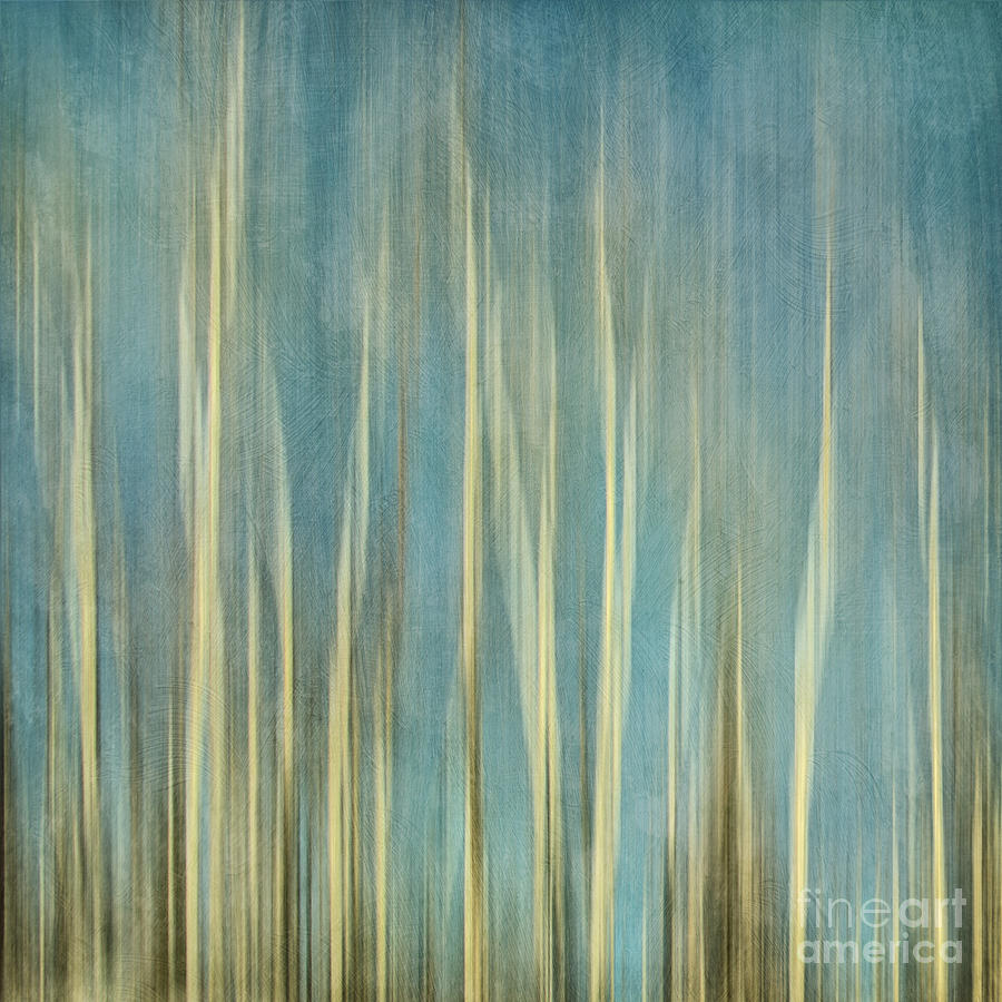 Tree Photograph - Touching The Sky by Priska Wettstein