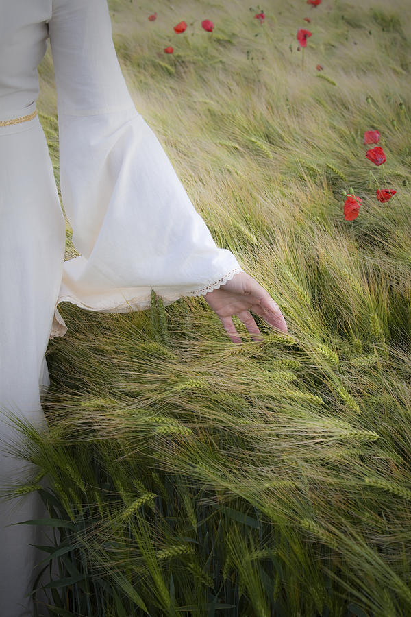 Touching the wheat Photograph by Maria Heyens