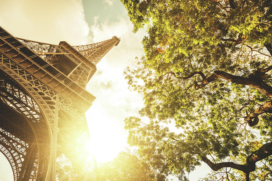 Tour Eiffel Tower In Autumn Photograph by Franckreporter
