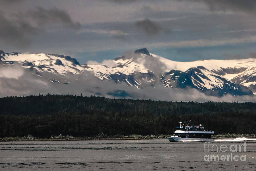 Salmon Photograph - Touring Alaska by Robert Bales