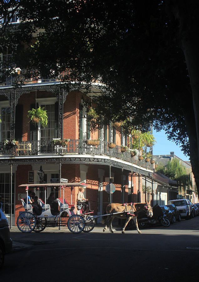 On Royal and Dumaine Photograph by Mauverneen Zufa Blevins