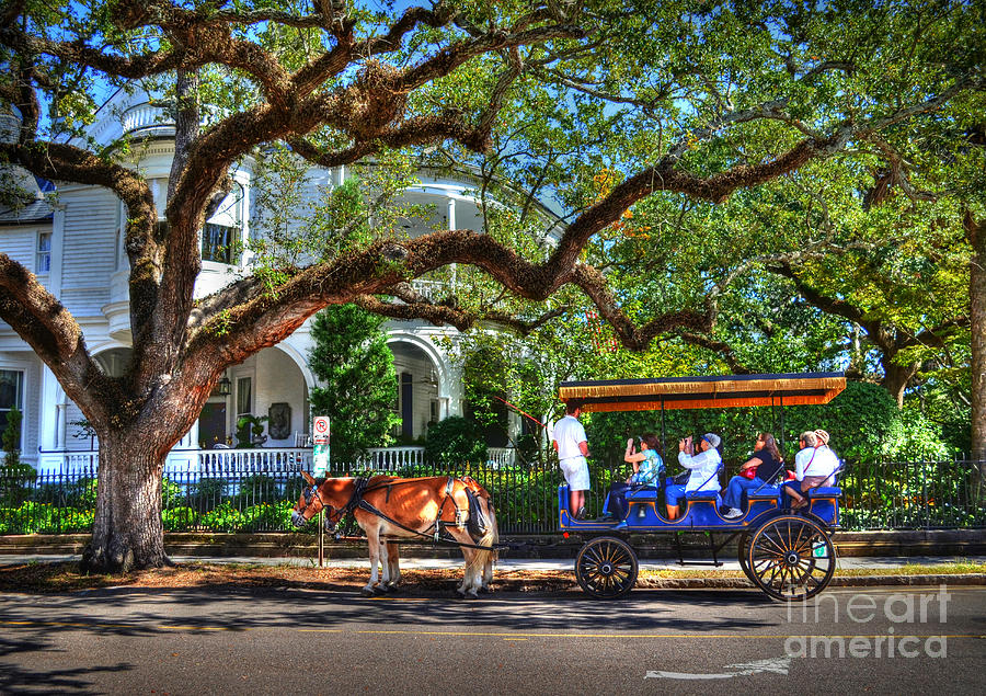 Touring Through Historic Charleston Photograph by Kathy Baccari