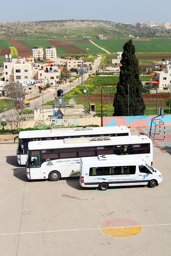 Tourist Buses Photograph by Munir Alawi