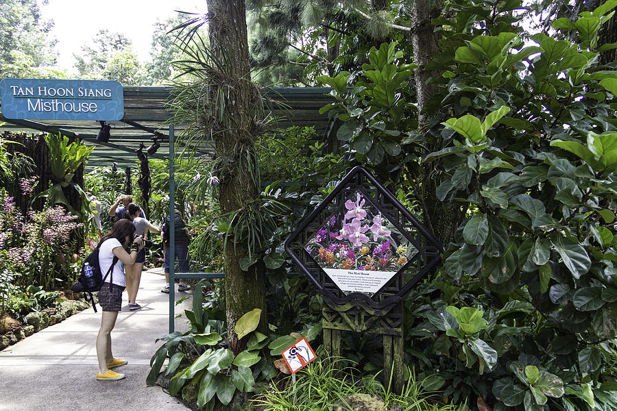 Tourist doing photography and viewing plants in a garden Photograph by Ashish Agarwal