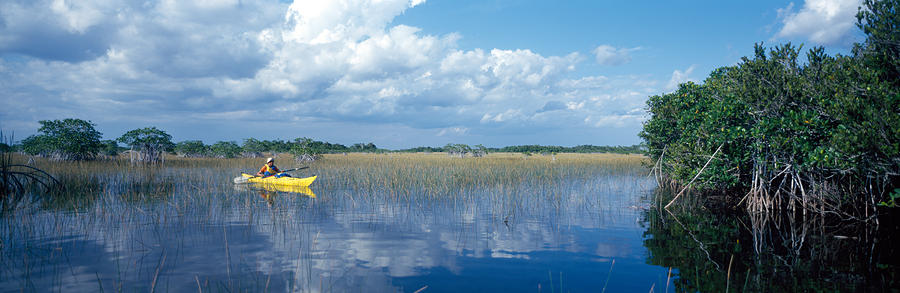 Everglades National Park Photograph - Tourist Kayaking In A Pond, Nine-mile by Panoramic Images