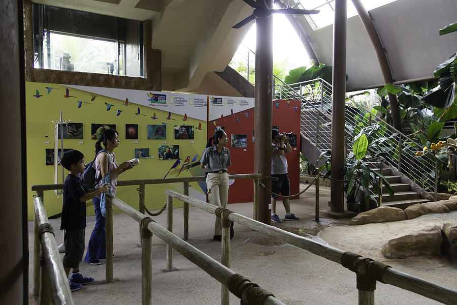 Tourists in a queue at one of the exhibits inside the Jurong Bird Park Photograph by Ashish Agarwal