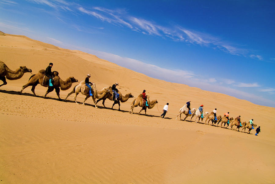 Tourists Riding Camels On Desert Dunes Photograph by Aldo Pavan