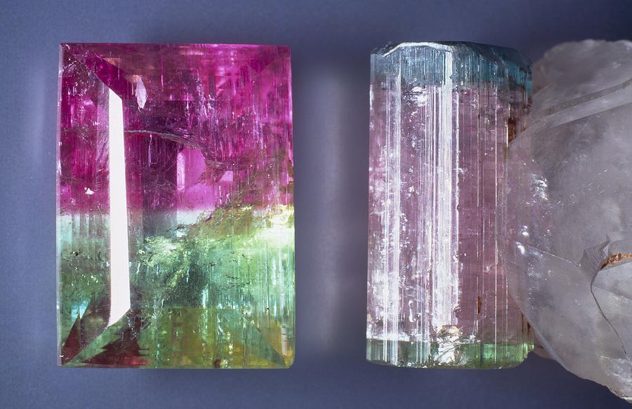 London Photograph - Tourmaline crystal specimens by Science Photo Library