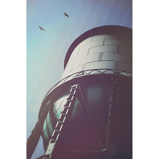 Bird Photograph - Tower Keepers by Alex Mortensen