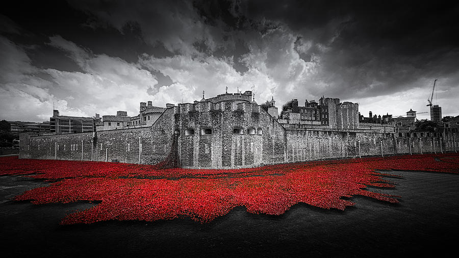 Tower of London Remembers Photograph by Ian Hufton