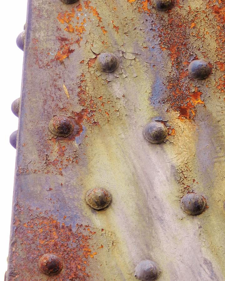 Tower of Pastel in Rust Photograph by Charles Lucas