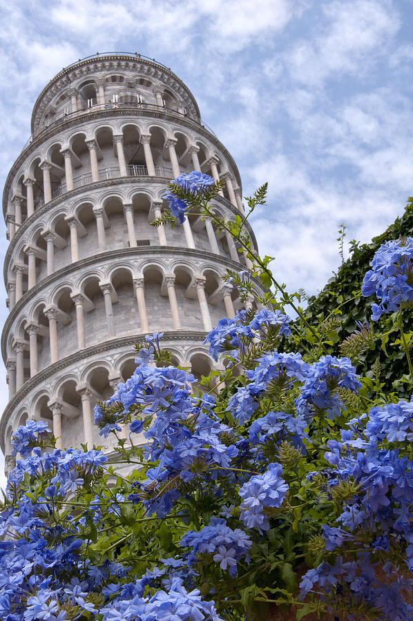 Tower of Pisa with Blue Flowers Photograph by Melany Sarafis