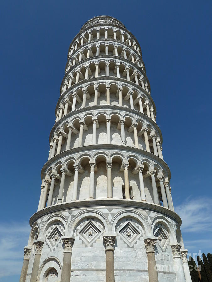 Tower of Pisa Photograph by Zori Minkova